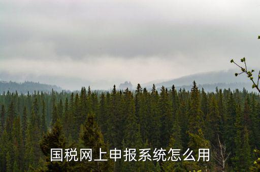 國稅網(wǎng)絡預申請系統(tǒng)是什么，怎么安裝國稅網(wǎng)上申報系統(tǒng)
