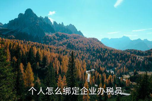 辦稅人員該綁定什么人，個(gè)人怎么綁定企業(yè)辦稅員