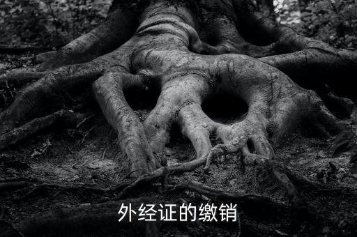 廈門繳銷外經(jīng)證國(guó)稅什么資料，廈門國(guó)稅需銷項(xiàng)合同是什么