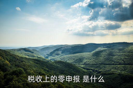 什么叫免于零申報，小規(guī)模納稅人 要增值稅納稅申報 但是每次都為零申報