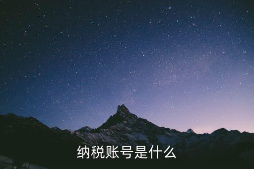 河北地稅賬號(hào)是什么意思，稅務(wù)賬號(hào)是什么