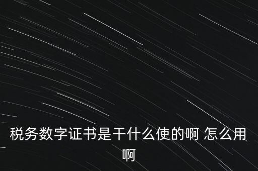 國稅ca數(shù)字證書是什么，稅務(wù)數(shù)字證書是干什么使的啊 怎么用啊