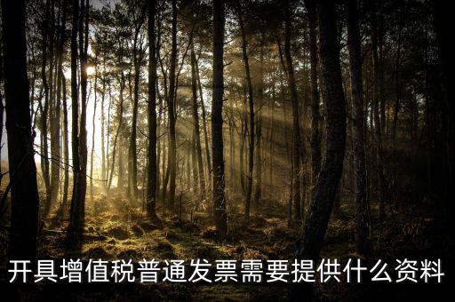 開增值稅提供什么資料，開具增值稅普通發(fā)票需要提供什么資料