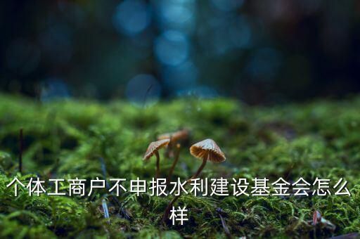 水利基金不報有什么后果，水利建設(shè)基金計稅當(dāng)月沒報有影響嗎