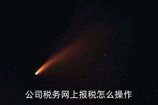 企業(yè)報(bào)稅登什么網(wǎng)站，企業(yè)稅務(wù)申報(bào)去哪個(gè)網(wǎng)站