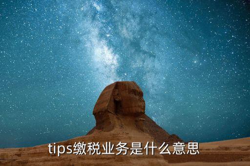 地稅tips繳款是什么意思，tips扣稅是什么意思