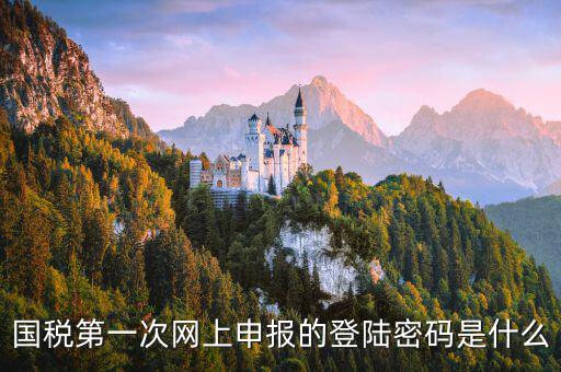 國(guó)稅網(wǎng)報(bào)口令是什么，國(guó)稅第一次網(wǎng)上申報(bào)的登陸密碼是什么