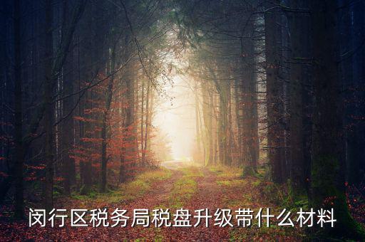 閔行區(qū)稅務局稅盤升級帶什么材料