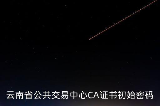 ca原始密碼登錄是什么，蘇州投標(biāo)ca初始密碼