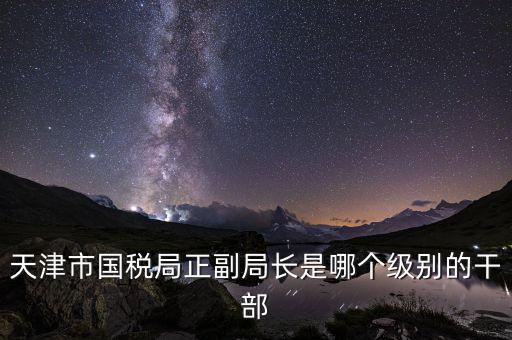 國稅局副局長是什么級別，天津市國稅局正副局長是哪個級別的干部