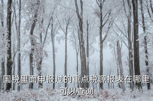 重點稅源預測網(wǎng)址是什么，國稅里面申報過的重點稅源報表在哪里可以查詢