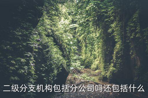 二級(jí)分支機(jī)構(gòu)包括分公司嗎還包括什么