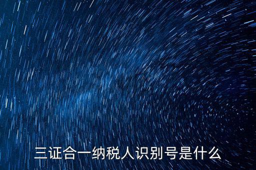 三證合一納稅人識(shí)別號是什么