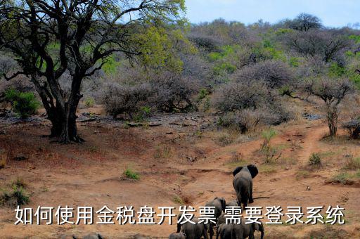 金稅盤要求什么系統(tǒng)，稅控發(fā)票開票軟件 需要什么系統(tǒng)
