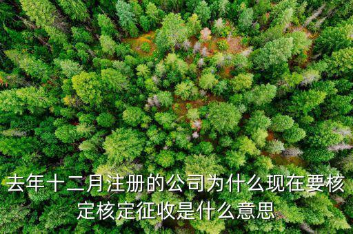 為什么核定征收收據(jù)，查賬征收為什么會(huì)轉(zhuǎn)為核定征收