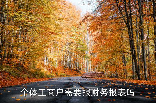 個體戶都需要申報(bào)什么表，個體工商戶需要報(bào)財(cái)務(wù)報(bào)表嗎