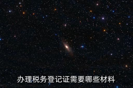 辦理稅務登記證需要哪些材料