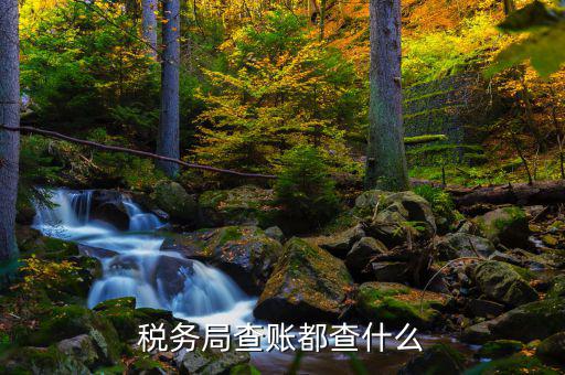 稅務局查的是什么發(fā)票，稅務局公司查發(fā)票進項還是銷項