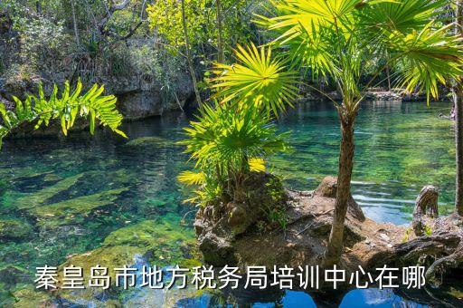 地稅局培訓(xùn)中心是什么，秦皇島市地方稅務(wù)局培訓(xùn)中心在哪