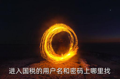 國稅的用戶名是什么，稅務(wù)用戶名是什么啊