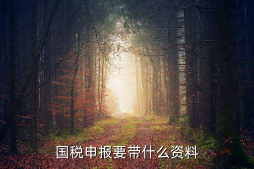 國稅注冊需要什么資料，國稅登記需要帶什么資料