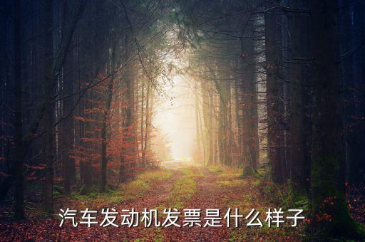 國稅出的機(jī)動車發(fā)票是什么樣的，汽車發(fā)動機(jī)發(fā)票是什么樣子