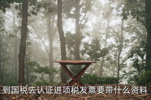 常州國(guó)稅認(rèn)證發(fā)票需要帶什么，到國(guó)稅認(rèn)證發(fā)票時(shí)需要帶什么資料