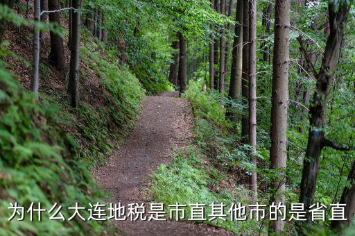 大連地稅局局長(zhǎng)叫什么，大連地稅局的客服電話是多少