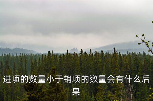 進(jìn)項的數(shù)量小于銷項的數(shù)量會有什么后果