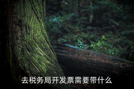 紹興市國稅購增值稅發(fā)票需要帶什么，到稅務(wù)局開增值稅專用發(fā)票帶什么