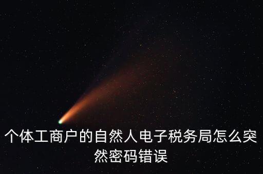 個體工商戶的自然人電子稅務局怎么突然密碼錯誤