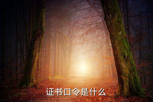 新稅盤證書(shū)口令是什么意思，金稅盤口令有什么用