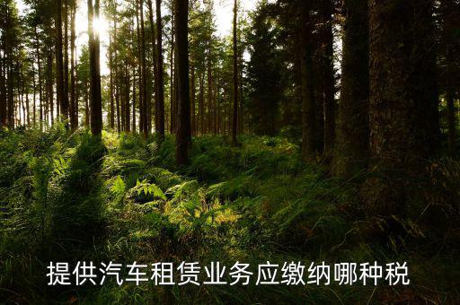 個人出租汽車給公司交什么稅，個人車輛租給公司個稅怎么交