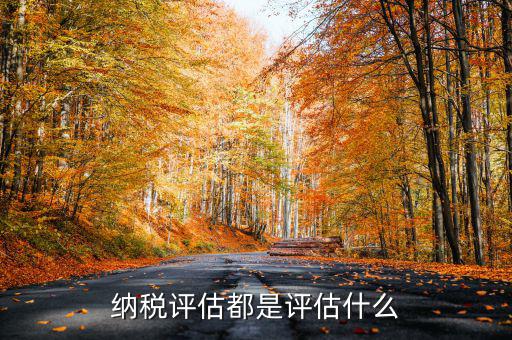什么是稅務(wù)局企業(yè)評(píng)估，納稅評(píng)估都是評(píng)估什么