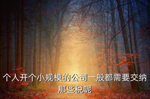 個人開辦水廠需要什么稅，自來水公司的水廠要交房產(chǎn)稅和土地使用稅嗎