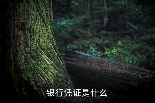 銀行劃款憑證是什么，銀行憑證是什么