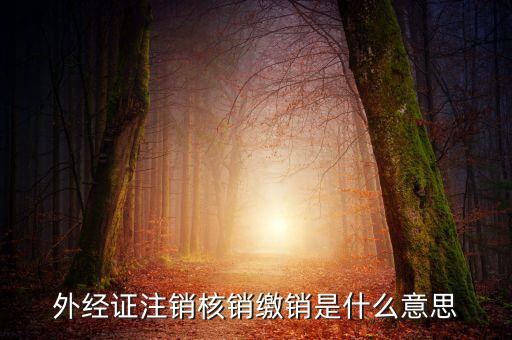 外經(jīng)證注銷(xiāo)核銷(xiāo)繳銷(xiāo)是什么意思
