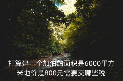 加油站都繳什么稅，打算建一個加油站面積是6000平方米地價是800元需要交哪些稅
