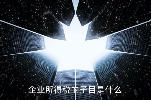 企業(yè)所得稅征收品目是什么，征收品目是什么