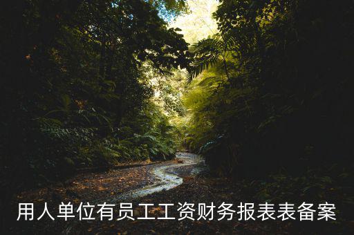 財(cái)務(wù)備案是什么意思，備案是什么意思