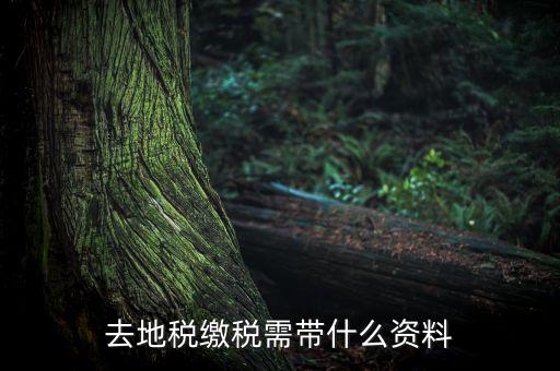 無錫地稅需要帶什么材料，去地稅繳稅需帶什么資料