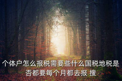 個(gè)體戶報(bào)稅都報(bào)什么，個(gè)體戶怎么報(bào)稅需要些什么國稅地稅是否都要每個(gè)月都去報(bào) 搜