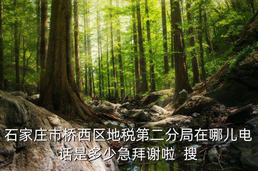 地稅二分局是做什么的，地稅科查局是做什么的