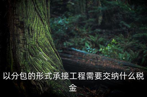 工程稅安什么繳，被施工單位土建工程應繳納何種稅