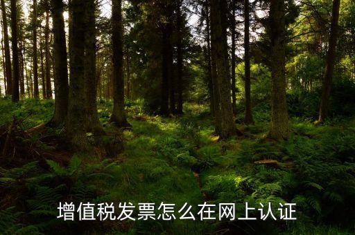 發(fā)票認(rèn)證需要什么軟件下載，國稅發(fā)票認(rèn)證需要準(zhǔn)備那些資料 到大廳辦的時(shí)候工作人員叫我拿U盤