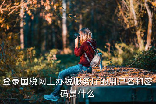 陜西電子稅務(wù)局登錄賬號(hào)是什么，登錄國(guó)稅網(wǎng)上辦稅服務(wù)廳的用戶(hù)名和密碼是什么