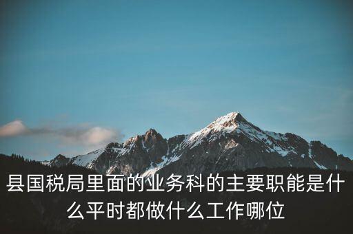 縣國稅局里面的業(yè)務科的主要職能是什么平時都做什么工作哪位