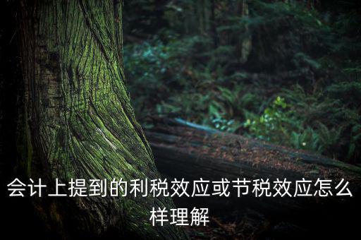 節(jié)稅效應(yīng)是節(jié)的什么稅，什么是節(jié)稅額