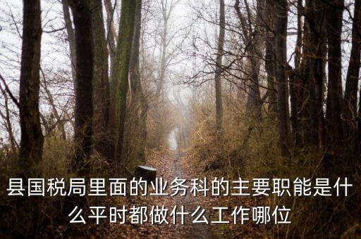 什么是稅政工作，縣國稅局里面的業(yè)務(wù)科的主要職能是什么平時都做什么工作哪位