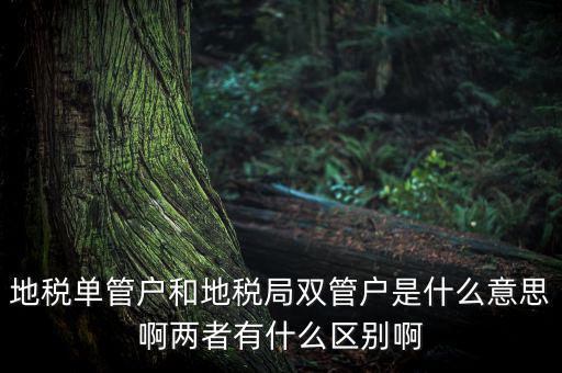 單管戶什么意思，地稅單管戶除了飲食行業(yè)外還有哪幾個(gè)行業(yè)